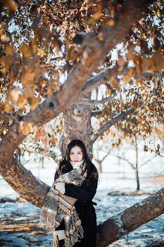 入青云电视剧免费观看全集完整版