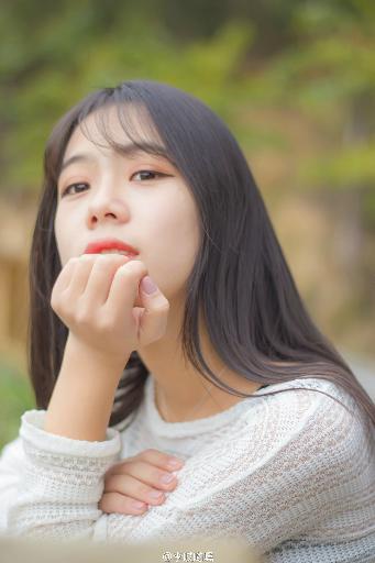 灭火宝贝2:决战丛林