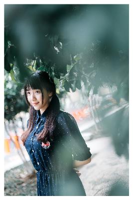 沉默的真相演员表